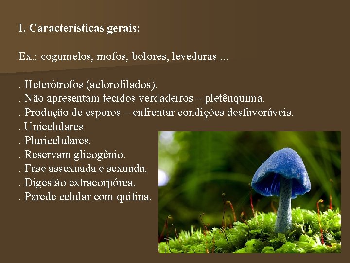 I. Características gerais: Ex. : cogumelos, mofos, bolores, leveduras. . Heterótrofos (aclorofilados). . Não