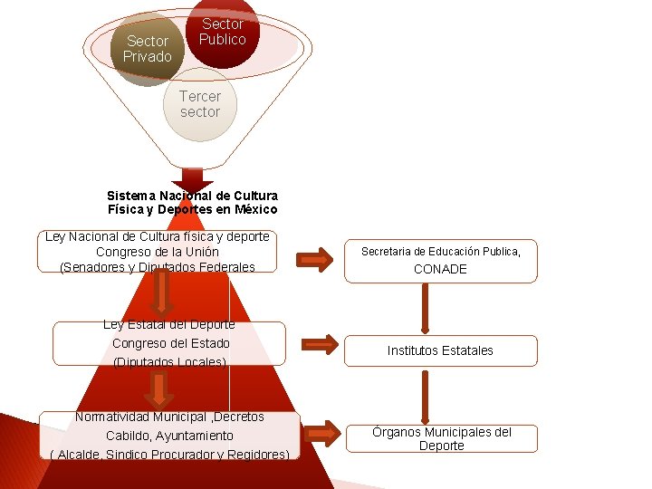 Sector Privado Sector Publico Tercer sector Sistema Nacional de Cultura Física y Deportes en