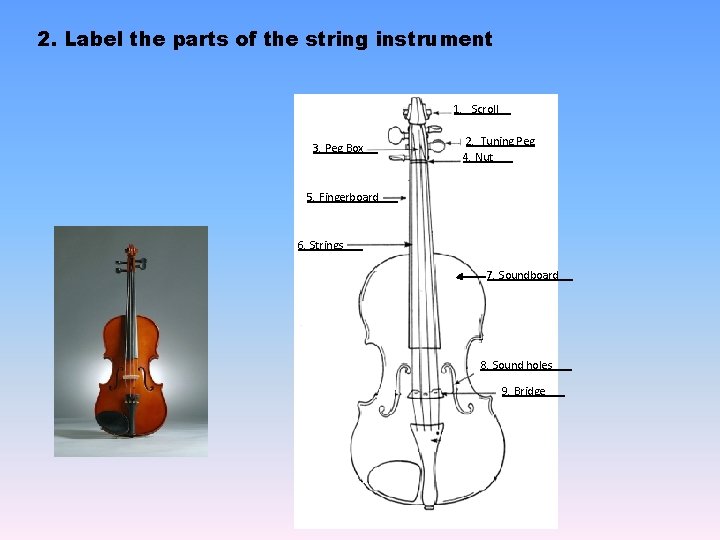 2. Label the parts of the string instrument 1. _ Scroll__ 3. Peg Box