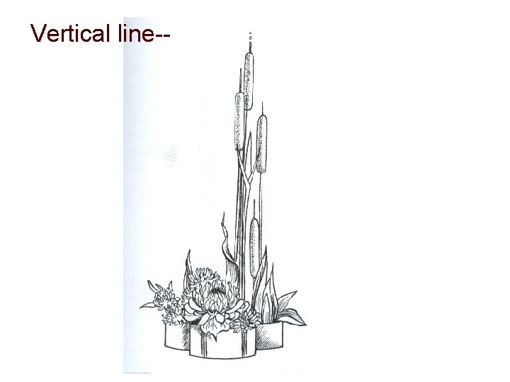 Vertical line--Power and strength line-- 