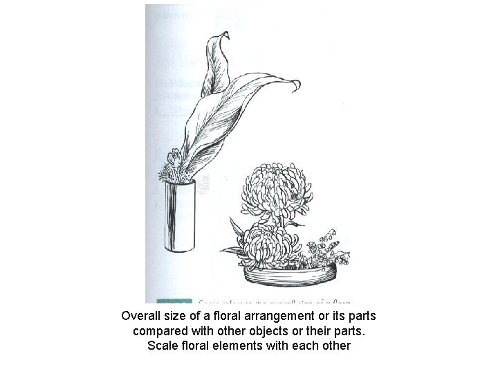 Overall size of a floral arrangement or its parts compared with other objects or