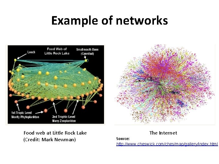 Example of networks Food web at Little Rock Lake (Credit: Mark Newman) The Internet