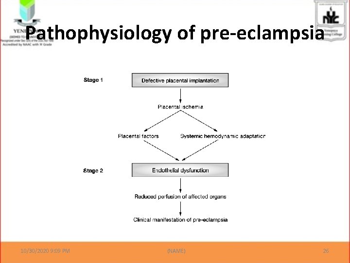 Pathophysiology of pre-eclampsia 10/30/2020 9: 09 PM (NAME) 26 