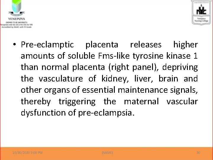  • Pre-eclamptic placenta releases higher amounts of soluble Fms-like tyrosine kinase 1 than