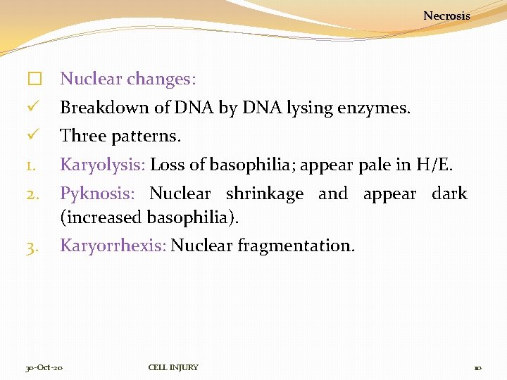 Necrosis � Nuclear changes: ü Breakdown of DNA by DNA lysing enzymes. ü Three