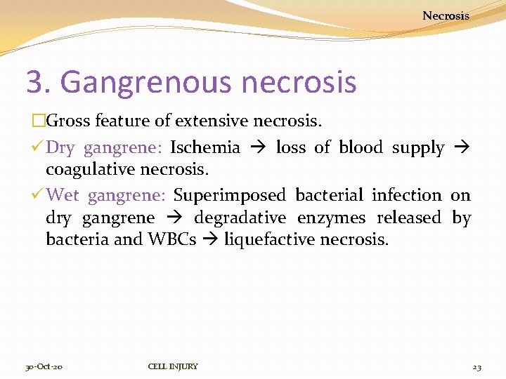 Necrosis 3. Gangrenous necrosis �Gross feature of extensive necrosis. ü Dry gangrene: Ischemia loss