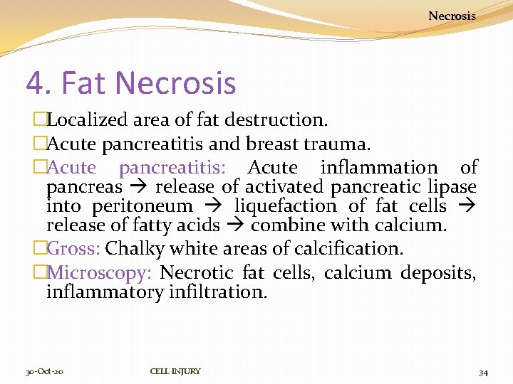 Necrosis 4. Fat Necrosis �Localized area of fat destruction. �Acute pancreatitis and breast trauma.