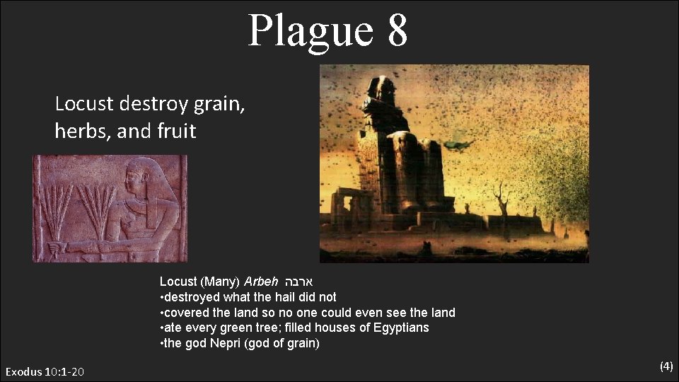 Plague 8 Locust destroy grain, herbs, and fruit Locust (Many) Arbeh ארבה • destroyed