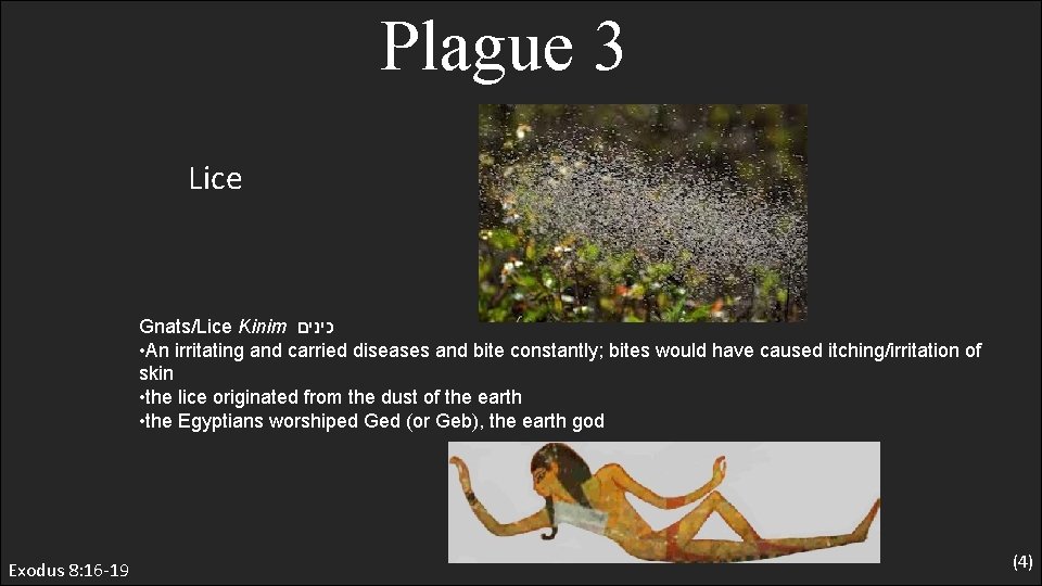 Plague 3 Lice Gnats/Lice Kinim כינים • An irritating and carried diseases and bite