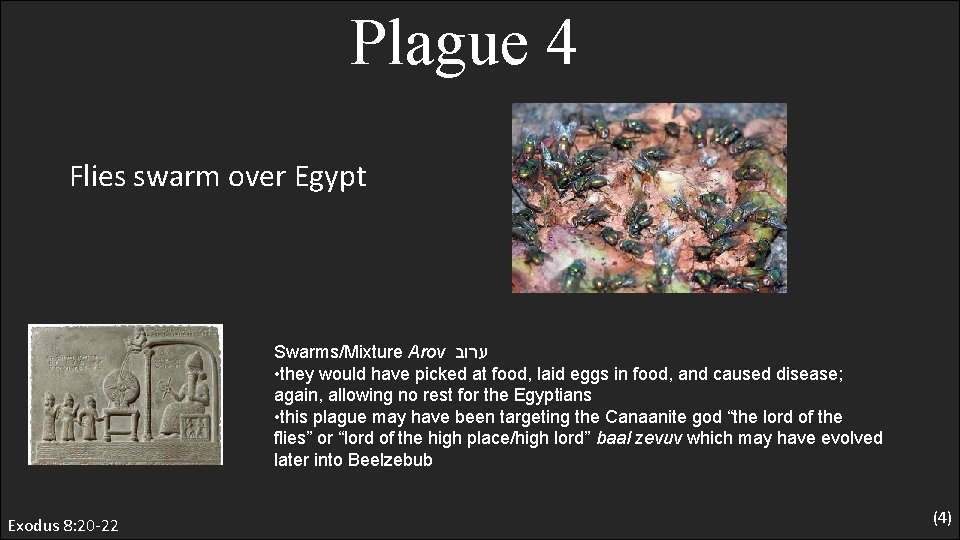 Plague 4 Flies swarm over Egypt Swarms/Mixture Arov ערוב • they would have picked