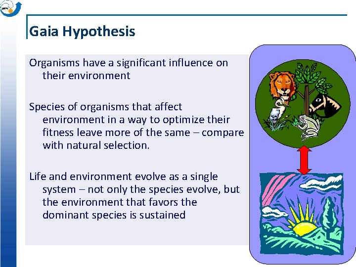 Gaia Hypothesis Organisms have a significant influence on their environment Species of organisms that Gaia Hypothesis Organisms have a significant influence on their environment Species of organisms that