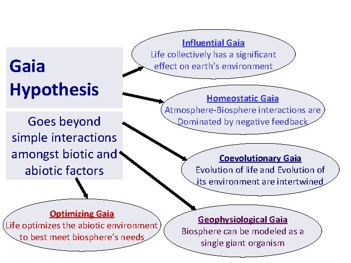 Gaia Hypothesis Influential Gaia Life collectively has a significant effect on earth’s environment Goes