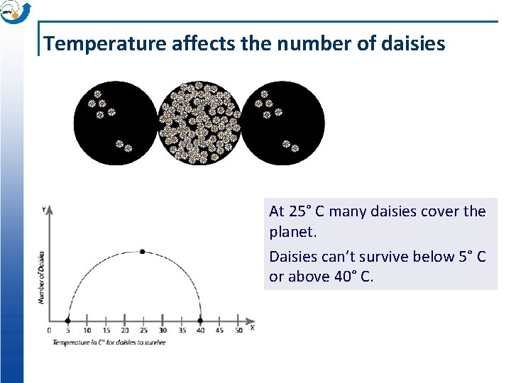 Temperature affects the number of daisies At 25° C many daisies cover the planet. Temperature affects the number of daisies At 25° C many daisies cover the planet.
