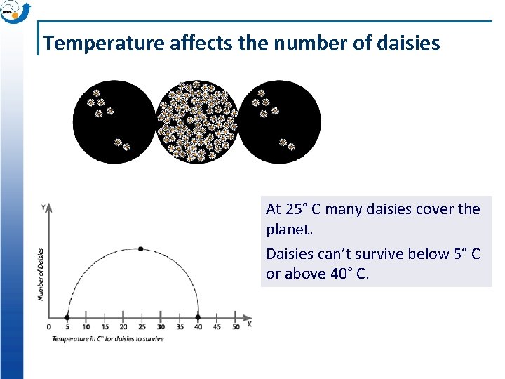 Temperature affects the number of daisies At 25° C many daisies cover the planet.