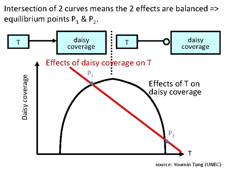 Intersection of 2 curves means the 2 effects are balanced => equilibrium points P