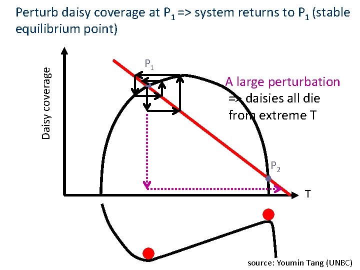 Daisy coverage Perturb daisy coverage at P 1 => system returns to P 1 Daisy coverage Perturb daisy coverage at P 1 => system returns to P 1