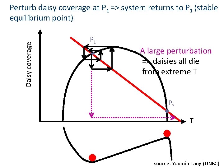 Daisy coverage Perturb daisy coverage at P 1 => system returns to P 1