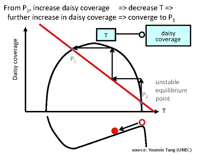 Daisy coverage From P 2, increase daisy coverage => decrease T => further increase