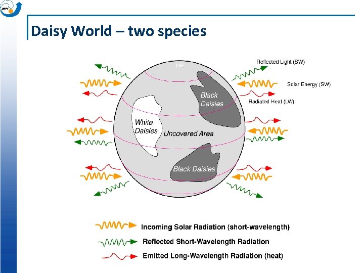 Daisy World – two species Daisy World – two species