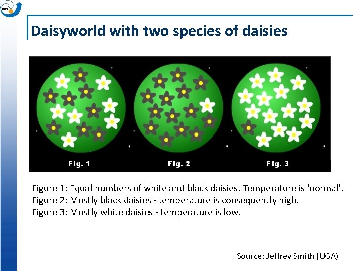 Daisyworld with two species of daisies Figure 1: Equal numbers of white and black Daisyworld with two species of daisies Figure 1: Equal numbers of white and black
