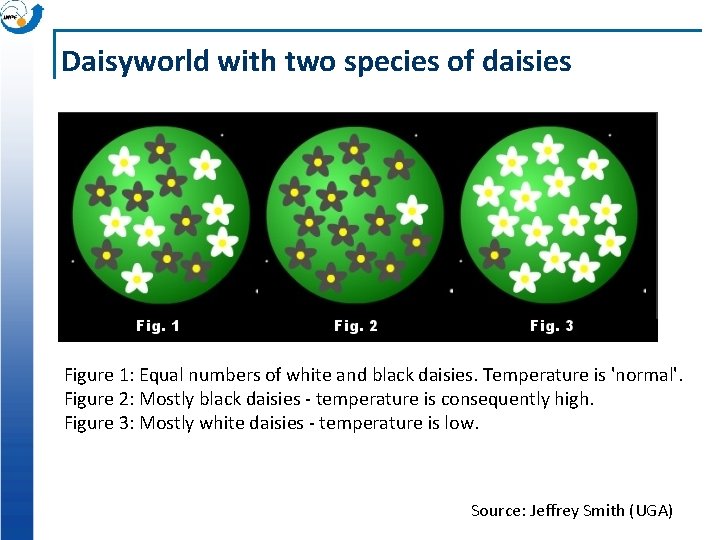 Daisyworld with two species of daisies Figure 1: Equal numbers of white and black