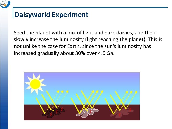 Daisyworld Experiment Seed the planet with a mix of light and dark daisies, and Daisyworld Experiment Seed the planet with a mix of light and dark daisies, and