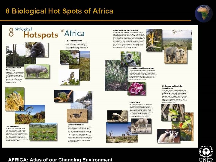 8 Biological Hot Spots of Africa 