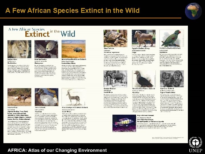 A Few African Species Extinct in the Wild 