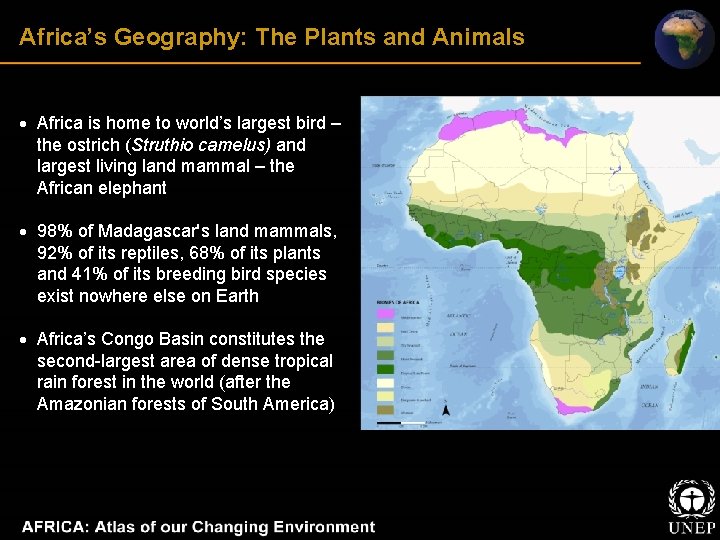 Africa’s Geography: The Plants and Animals Africa is home to world’s largest bird –