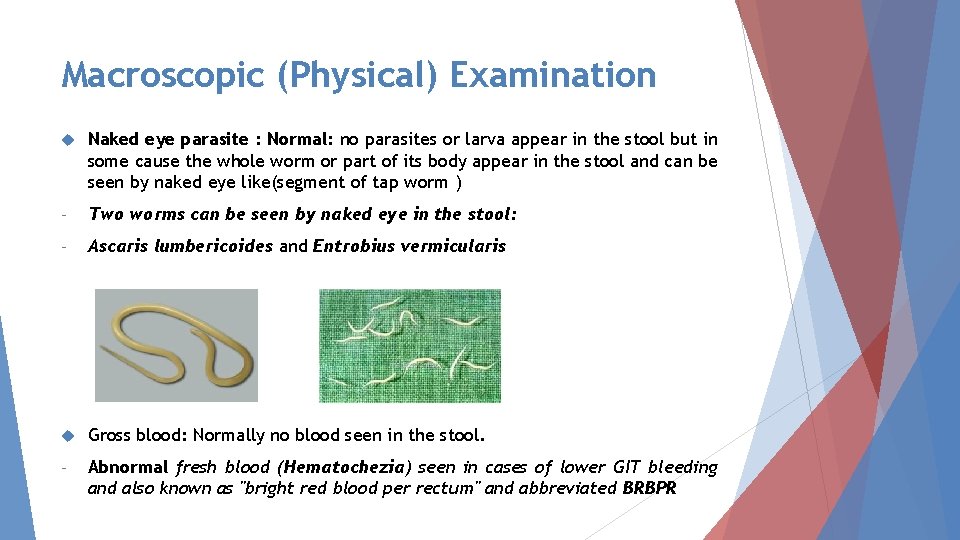 Macroscopic (Physical) Examination Naked eye parasite : Normal: no parasites or larva appear in