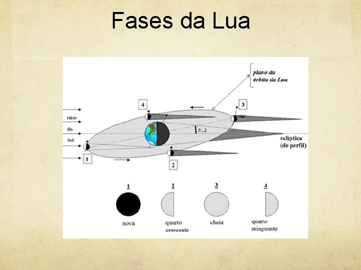 Fases da Lua 