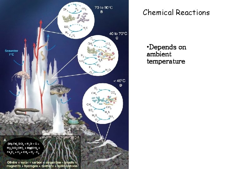 Chemical Reactions • Depends on ambient temperature 