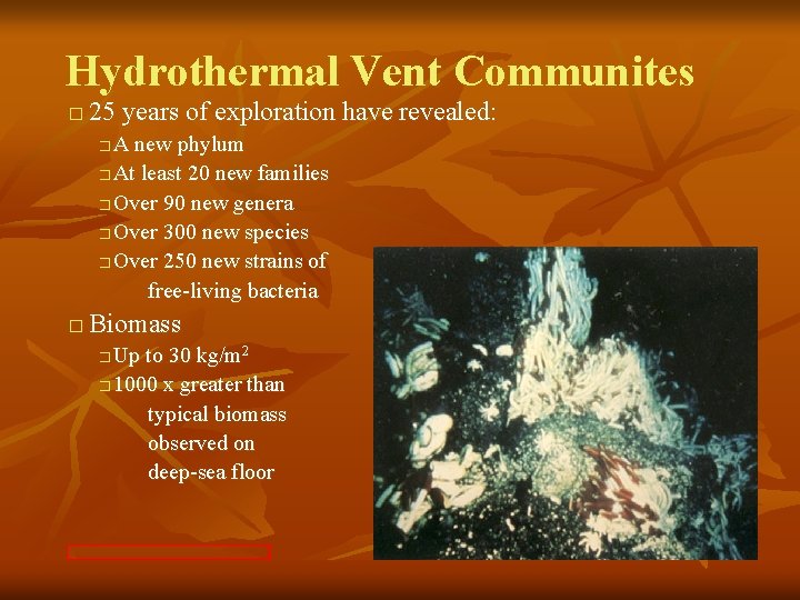 Hydrothermal Vent Communites � 25 years of exploration have revealed: A new phylum �