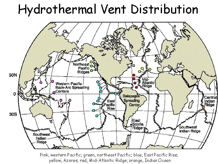 Hydrothermal Vent Distribution Pink, western Pacific; green, northeast Pacific; blue, East Pacific Rise; yellow,
