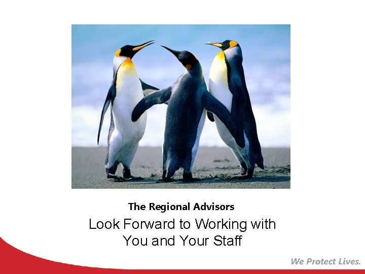 The Regional Advisors Look Forward to Working with You and Your Staff The Regional Advisors Look Forward to Working with You and Your Staff