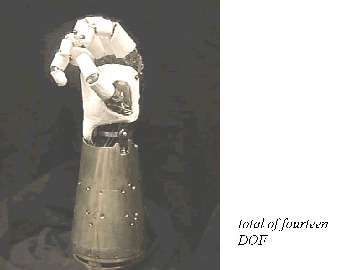 total of fourteen DOF 