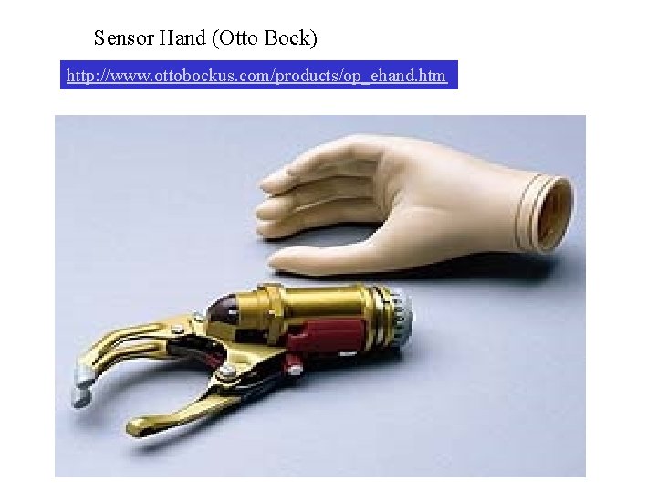 Sensor Hand (Otto Bock) http: //www. ottobockus. com/products/op_ehand. htm 