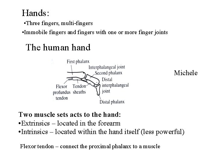 Hands: • Three fingers, multi-fingers • Immobile fingers and fingers with one or more