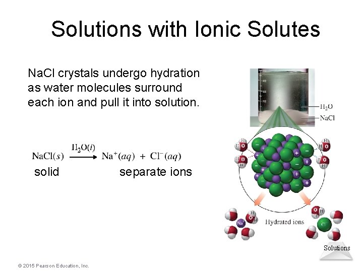 Solutions with Ionic Solutes Na. Cl crystals undergo hydration as water molecules surround each