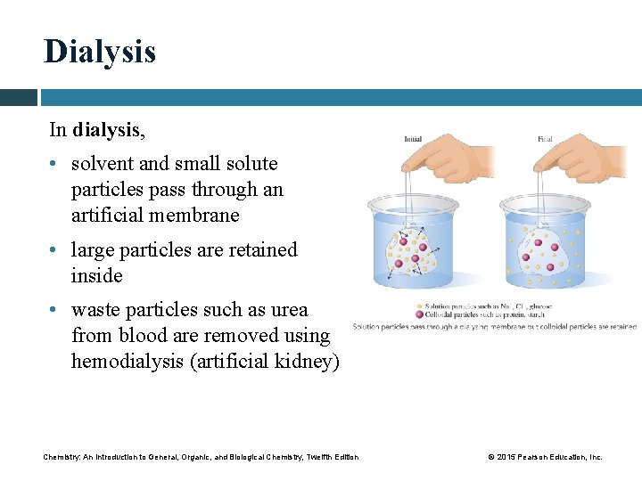 Dialysis In dialysis, • solvent and small solute particles pass through an artificial membrane