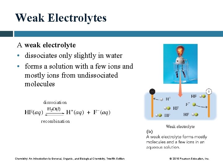 Weak Electrolytes A weak electrolyte • dissociates only slightly in water • forms a