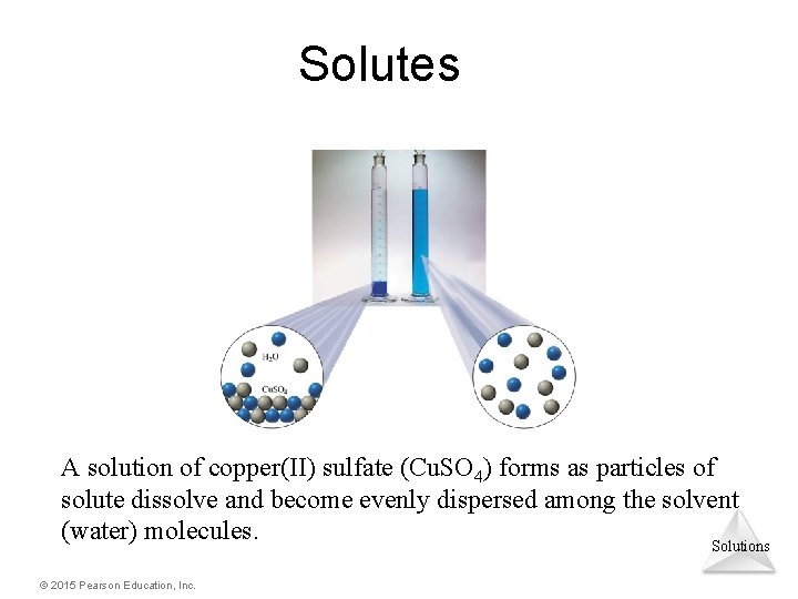 Solutes A solution of copper(II) sulfate (Cu. SO 4) forms as particles of solute