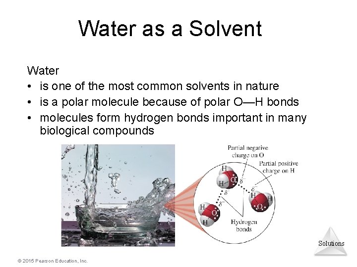 Water as a Solvent Water • is one of the most common solvents in