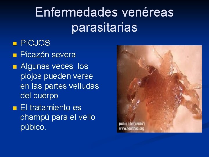 Enfermedades venéreas parasitarias n n PIOJOS Picazón severa Algunas veces, los piojos pueden verse