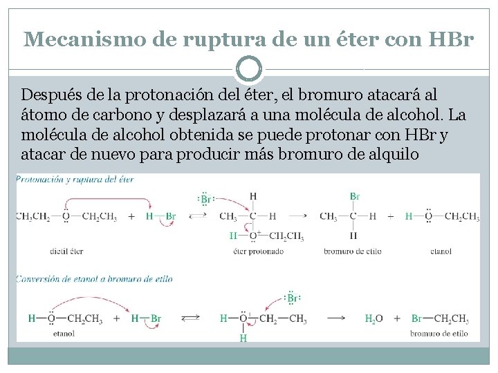 Mecanismo de ruptura de un éter con HBr Después de la protonación del éter,