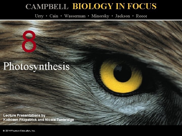 CAMPBELL BIOLOGY IN FOCUS Urry • Cain • Wasserman • Minorsky • Jackson •