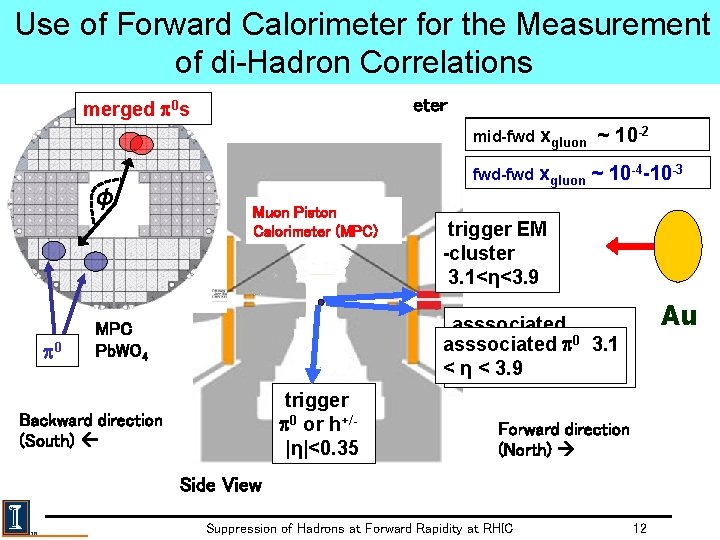 Use of Forward Calorimeter for the Measurement of di-Hadron Correlations merged p 0 s