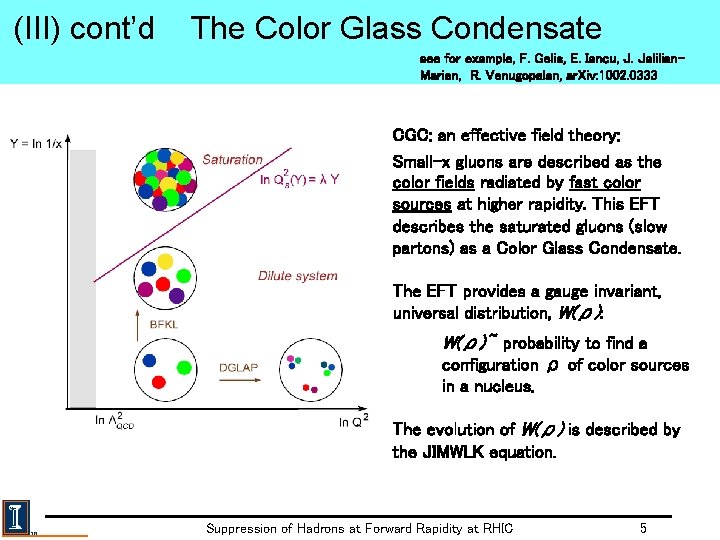 (III) cont’d The Color Glass Condensate see for example, F. Gelis, E. Iancu, J.