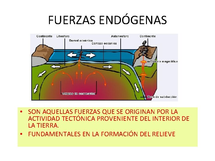 FUERZAS ENDÓGENAS • SON AQUELLAS FUERZAS QUE SE ORIGINAN POR LA ACTIVIDAD TECTÓNICA PROVENIENTE