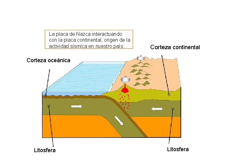 Origen y evolución La placa de Nazca interactuando con la placa continental, origen de